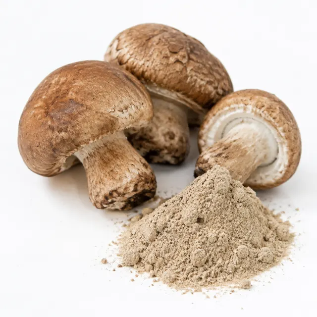 Almond Mushroom Powder Agaricus Blazei Organic