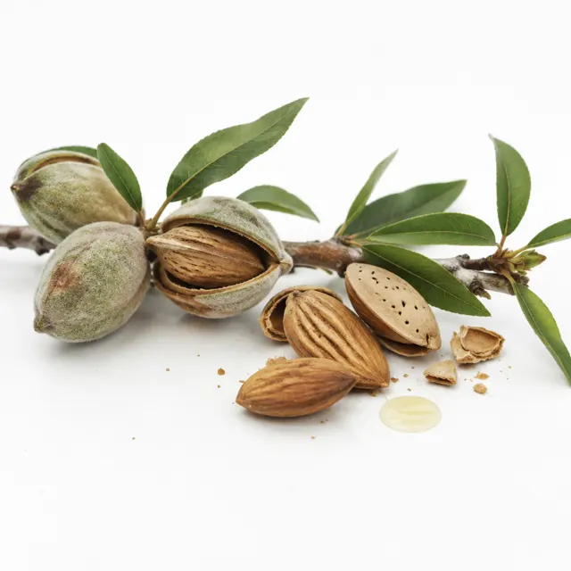 Almond Refined Oil