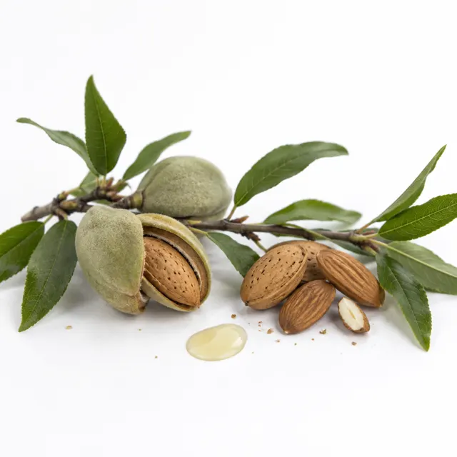 Almond Sweet Oil
