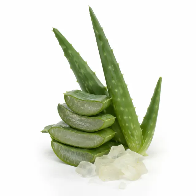 Aloe Vera 10x (Gel)
