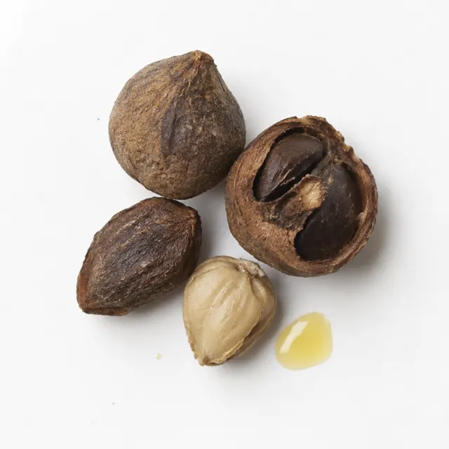 Andiroba Oil