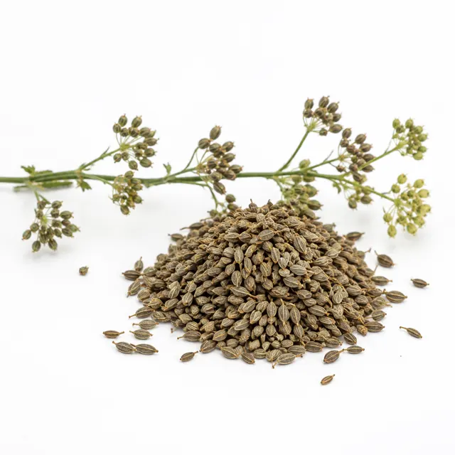 Anise Seeds Whole Organic