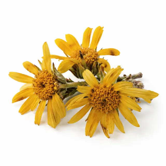 Arnica Infused In Sunflower Oil