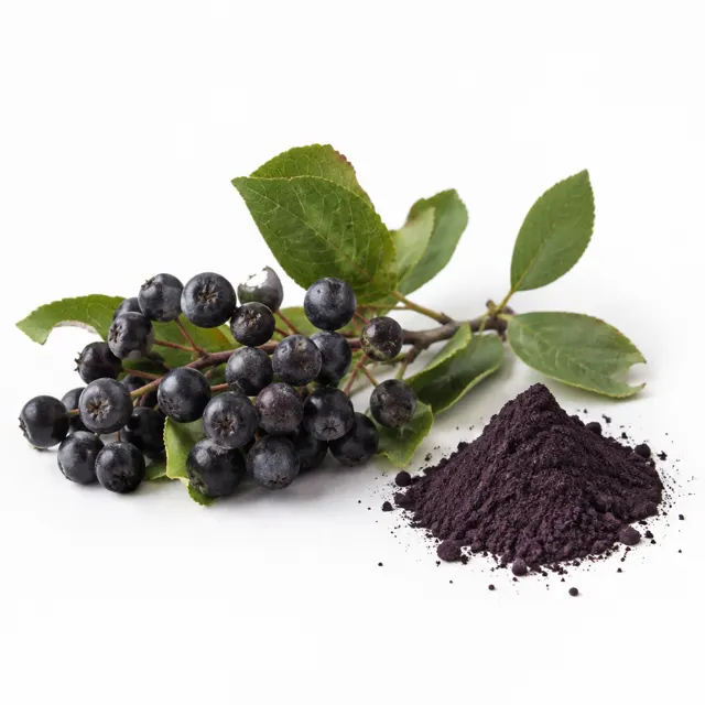 Aronia Berry Powder Freeze Dried Organic