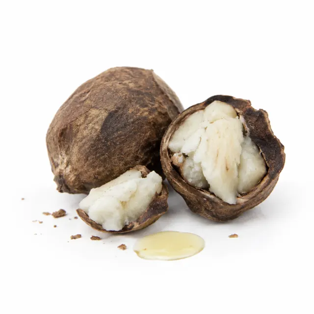 Babassu Refined Organic Oil