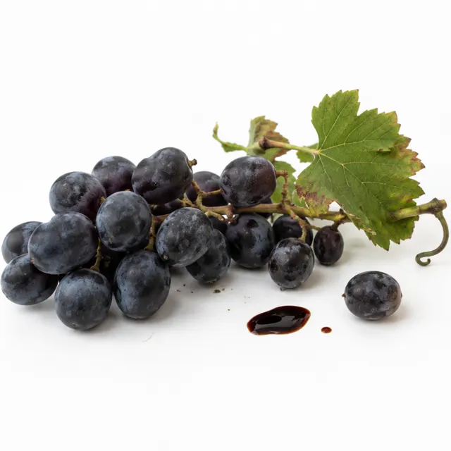 Balsamic Vinegar Organic 5L (aged)