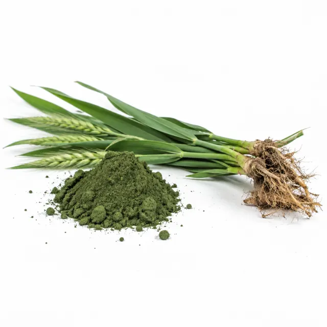 Barley Grass Juice Concentrate Powder Organic