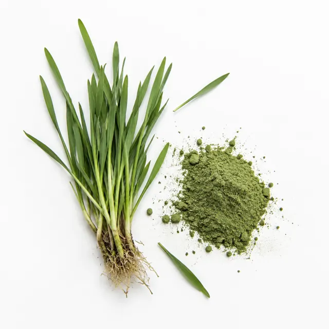 Barleygrass (New Zealand) Organic
