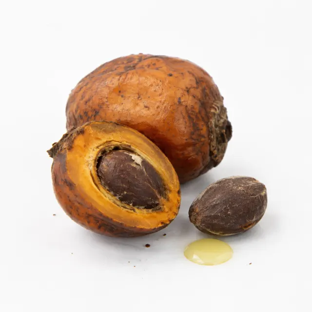 Batana (Ojon) Oil