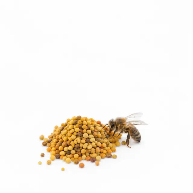 Bee Pollen Organic