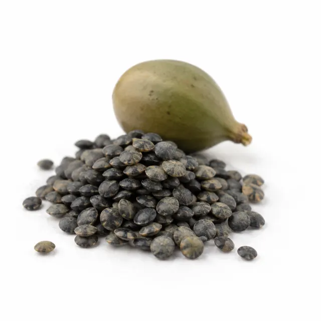 Beluga Lentils Organic