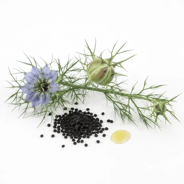 Black Cumin Organic Oil