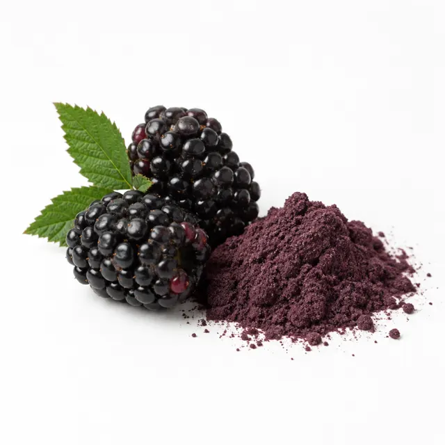 Blackberry Powder Freeze Dried Organic