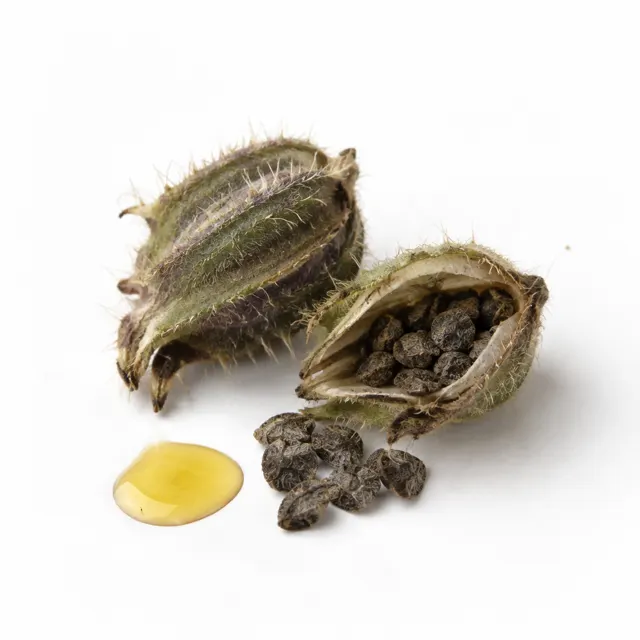 Borage Organic Oil