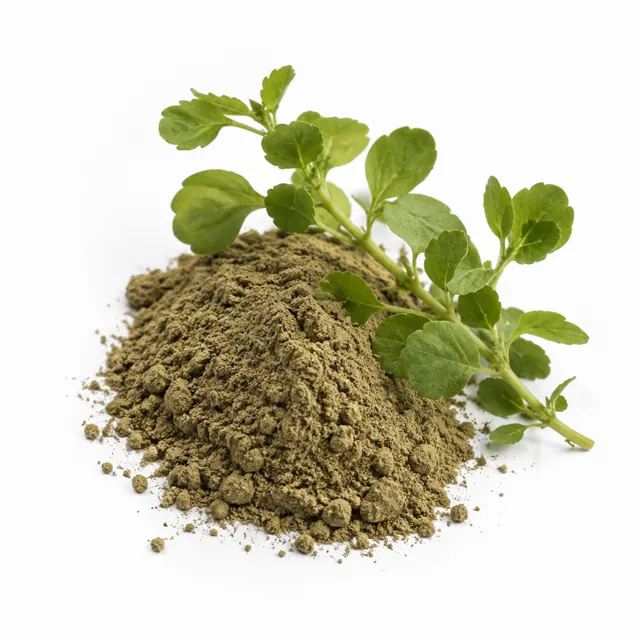 Brahmi Powder Organic