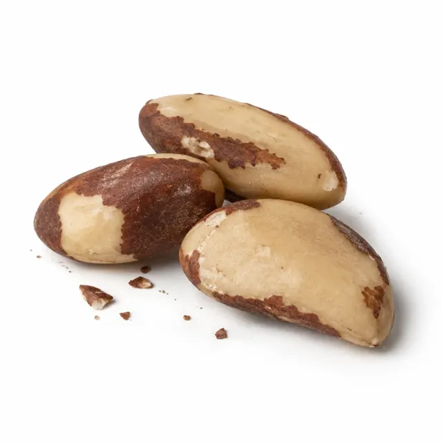 Brazilian Nuts Medium Organic
