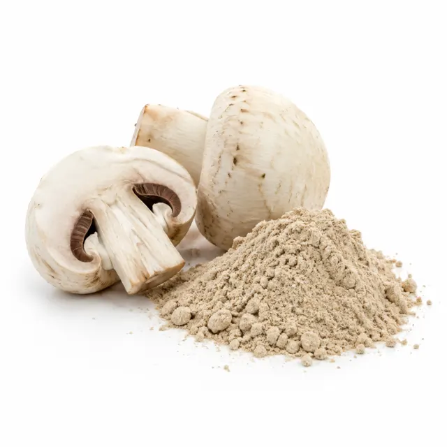 Button Mushroom Powder Agaricus bisporus Organic