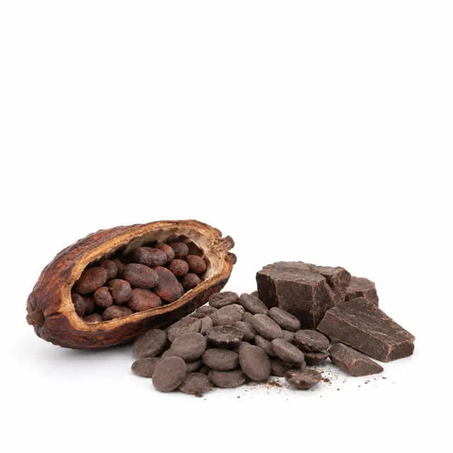 Cacao Paste Wafers Organic