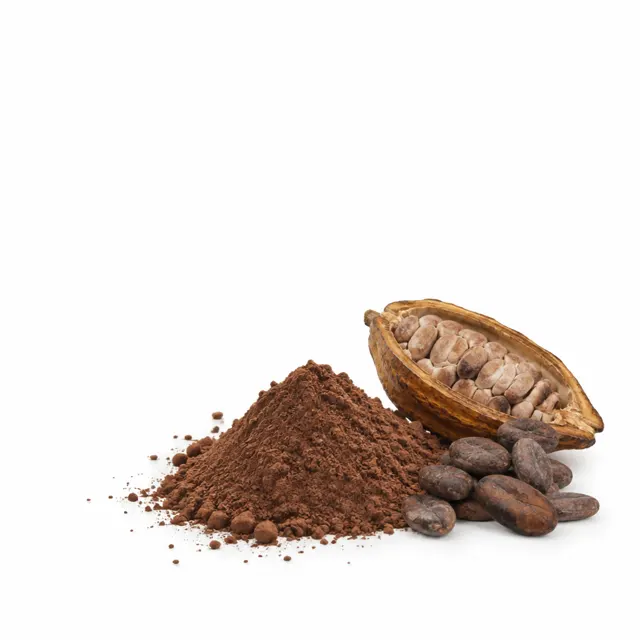 Cacao Powder Regular Organic