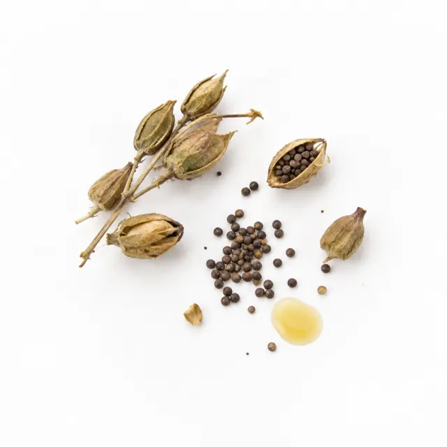 Camelina Organic Oil