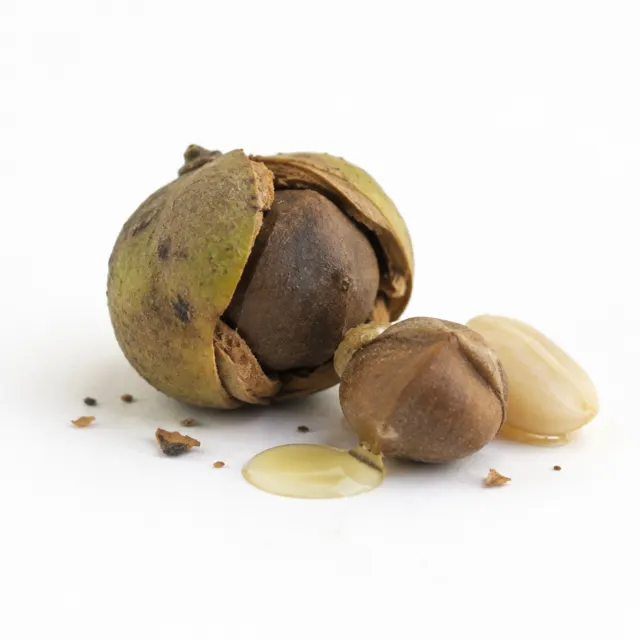Camellia Oleifera Refined Oil