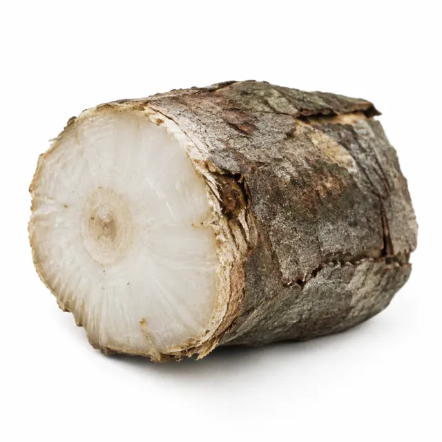 Camphor Essential Oil