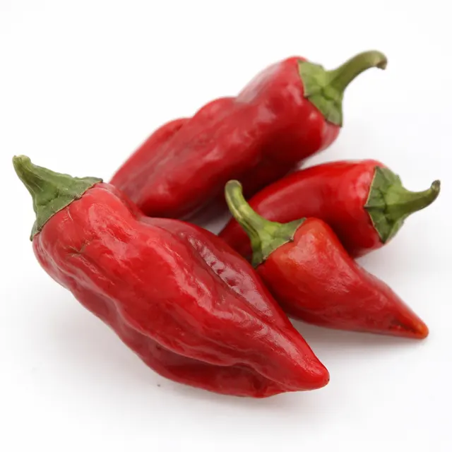 Capsicum Oleoresin