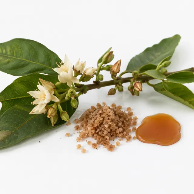 Caramel extract Syrup Organic