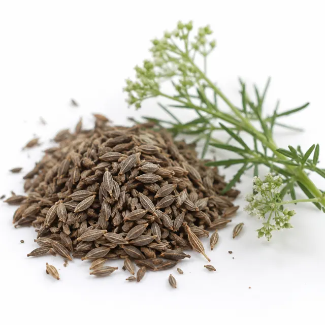 Caraway Germ-Reduced Organic