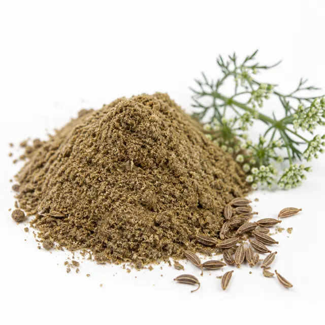 Caraway Powder Germ-Reduced Organic