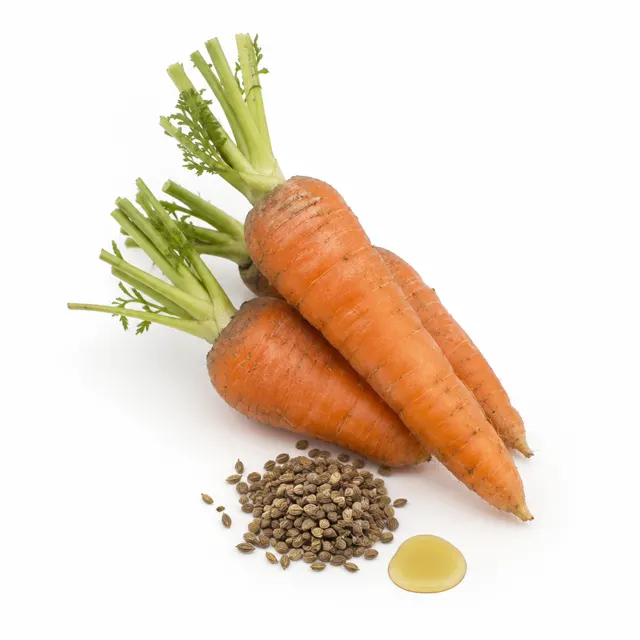Carrot Organic Oil Root