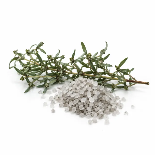 Celtic Salt Powder 0,1 - 0,4 mm