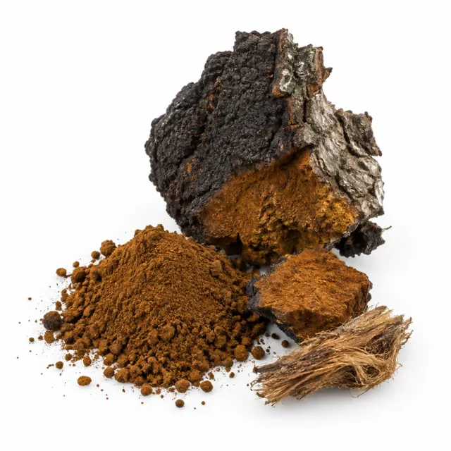 Chaga Extract 30% Organic