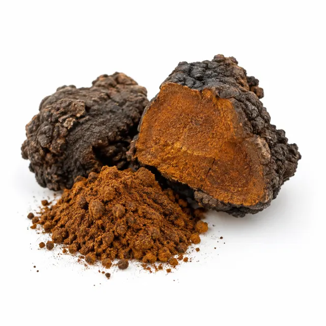 Chaga Mushroom Powder Organic
