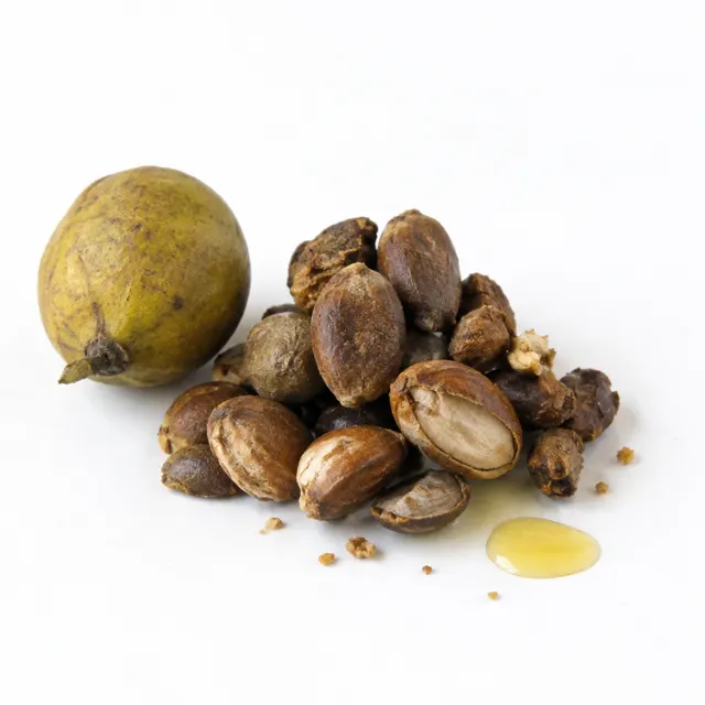 Chaulmoogra Oil