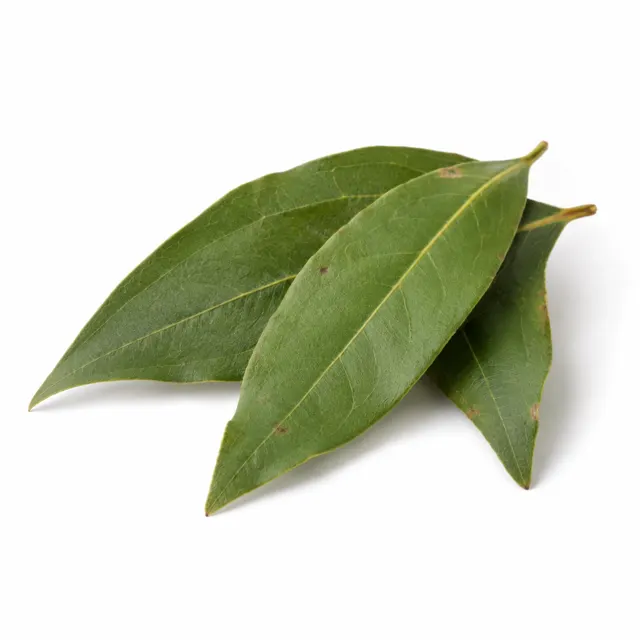 Cinnamon Leaf Essential Oil