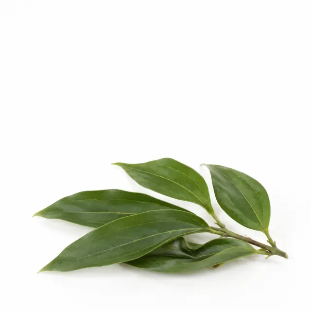 Cinnamon Leaf Organic Essential Oil