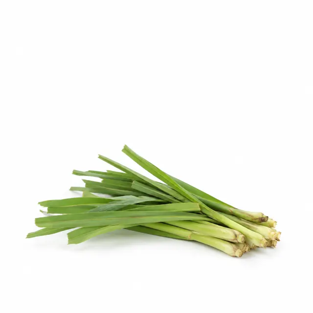 Citronella Essential Oil