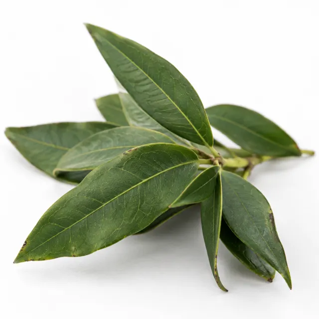 Clove Leaf Essential Oil