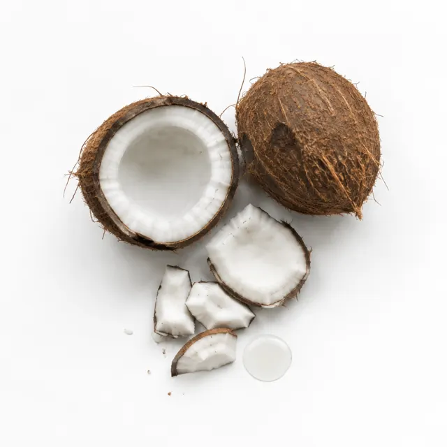 Coconut Fractionated Oil (MCT)