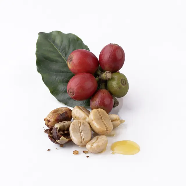 Coffee Organic Oil