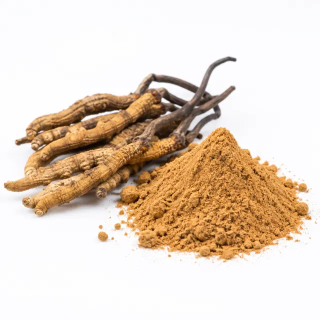 Cordyceps Sinensis Mushroom Powder Organic