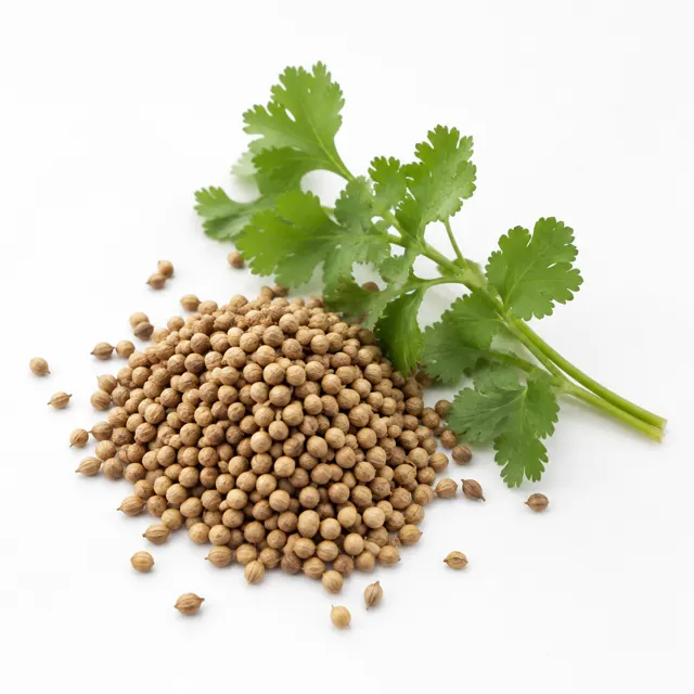 Coriander Whole Germ-Reduced Organic