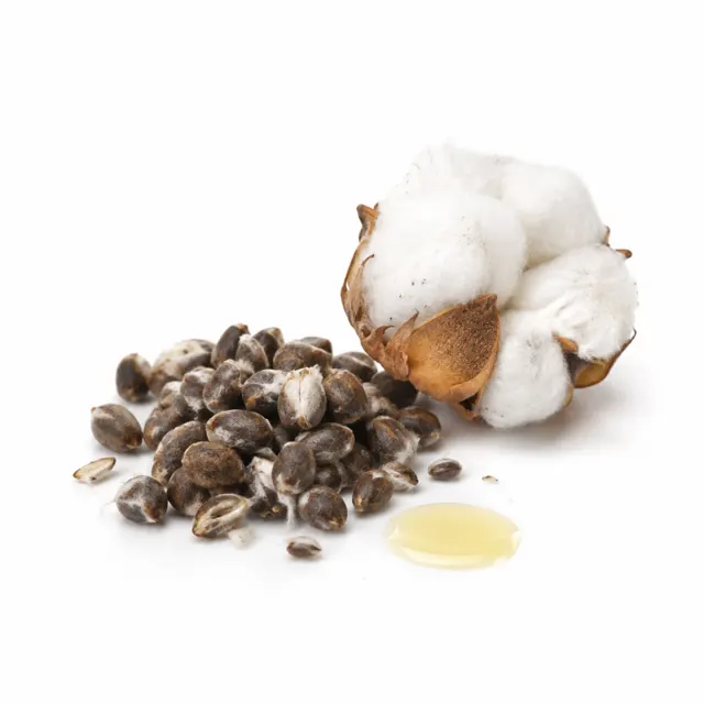 Cotton Refined Oil
