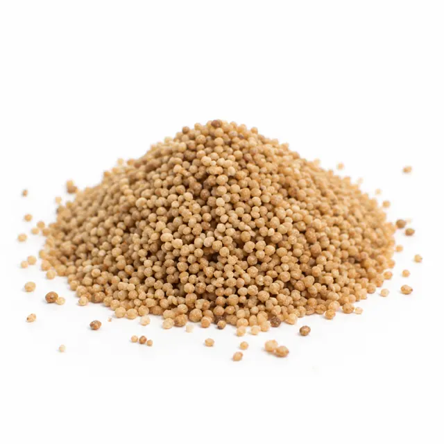 Couscous Spelt Wholemeal Organic