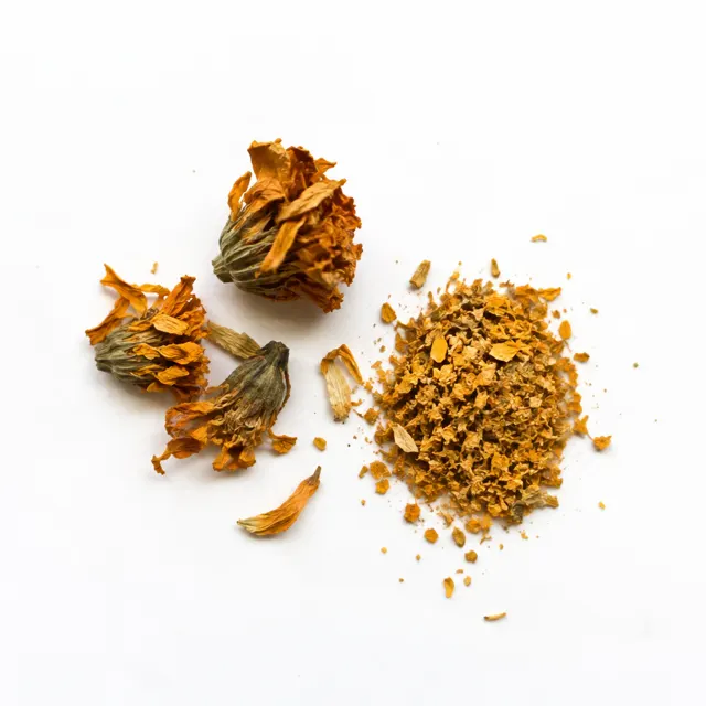 Dried Marigold Flower