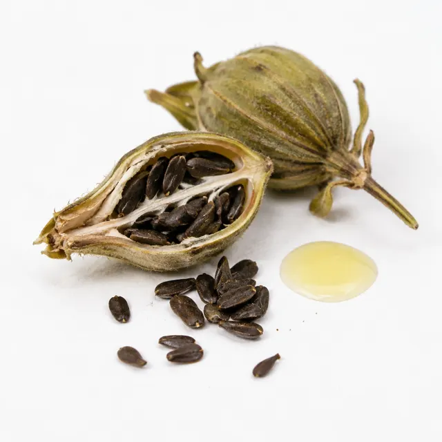 Evening Primrose Oil Food Grade