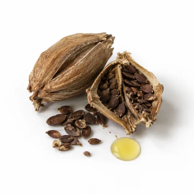 Evening Primrose Organic Oil