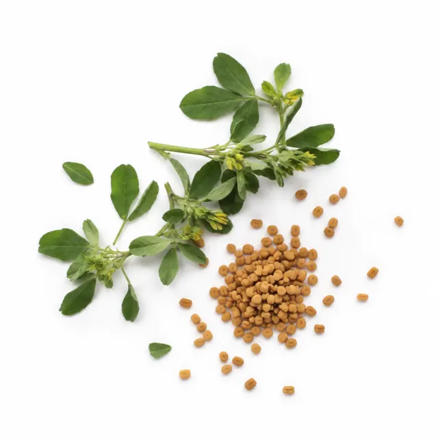 Fenugreek Infused In Sunflower Oil