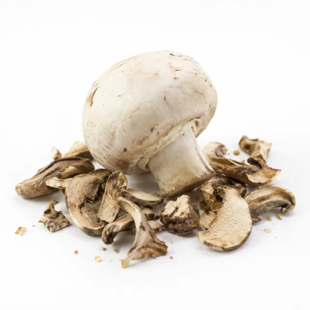 Field Mushroom Powder Agaricus Camprestis Organic